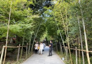 熱海来宮神社前撮り　熱海フォトウェディング　熱海ロケフォト